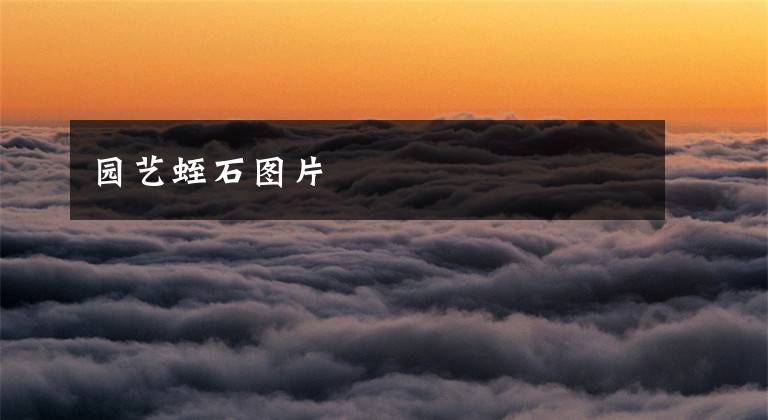 园艺蛭石图片