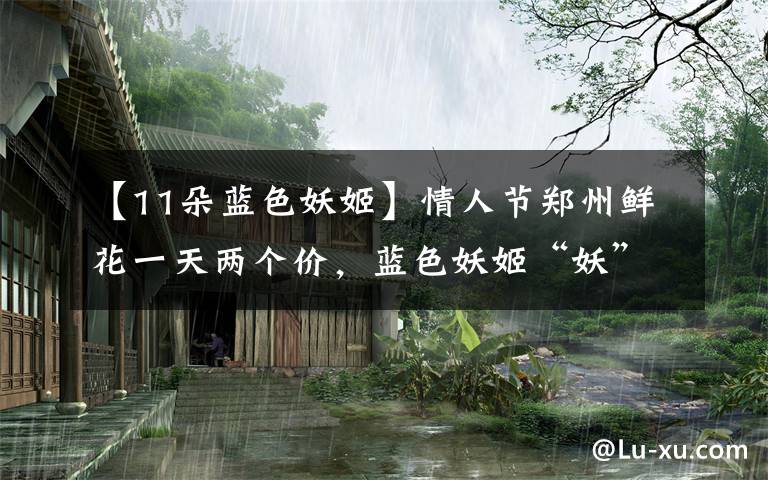 【11朵蓝色妖姬】情人节郑州鲜花一天两个价，蓝色妖姬“妖”不起，99朵红玫瑰成爆款