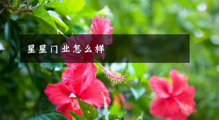 星星门业怎么样