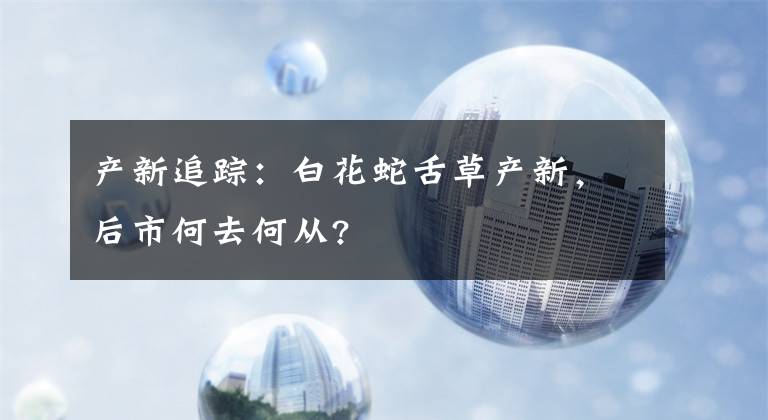 产新追踪：白花蛇舌草产新，后市何去何从?