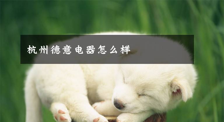 杭州德意电器怎么样