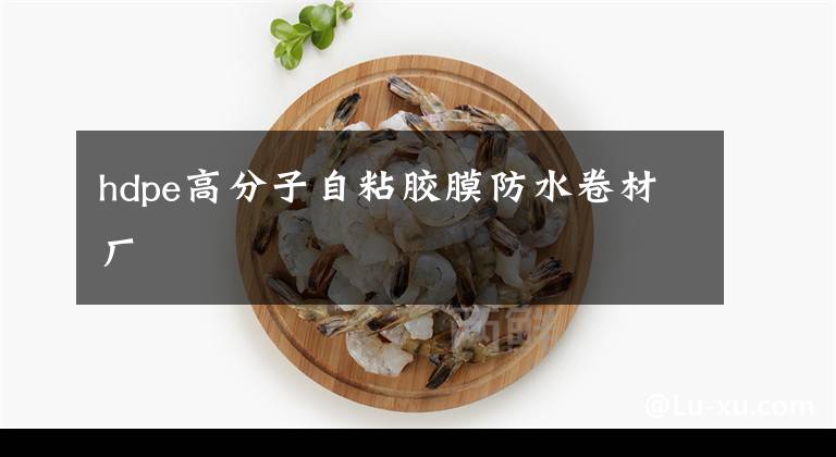 hdpe高分子自粘胶膜防水卷材厂