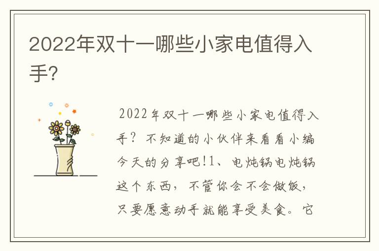 2022年双十一哪些小家电值得入手？