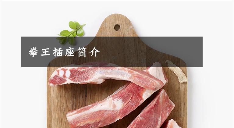 拳王插座简介