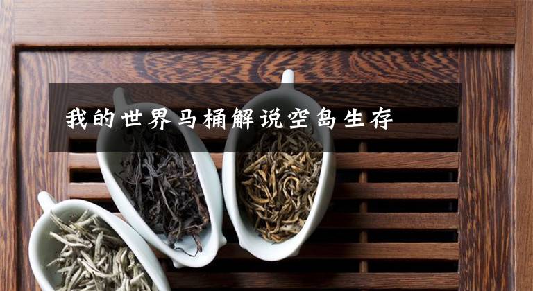 我的世界马桶解说空岛生存