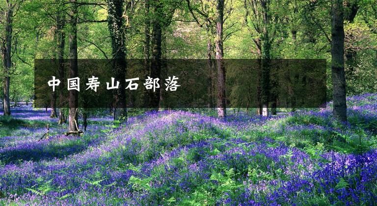 中国寿山石部落