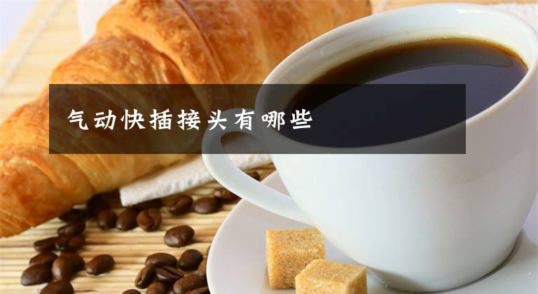 气动快插接头有哪些