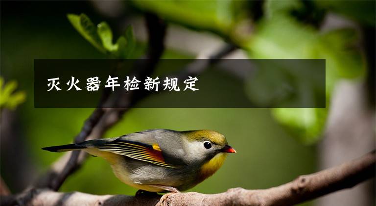 灭火器年检新规定