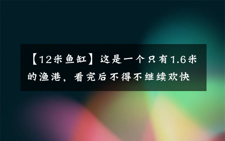 【12米鱼缸】这是一个只有1.6米的渔港，看完后不得不继续欢快地呼叫！