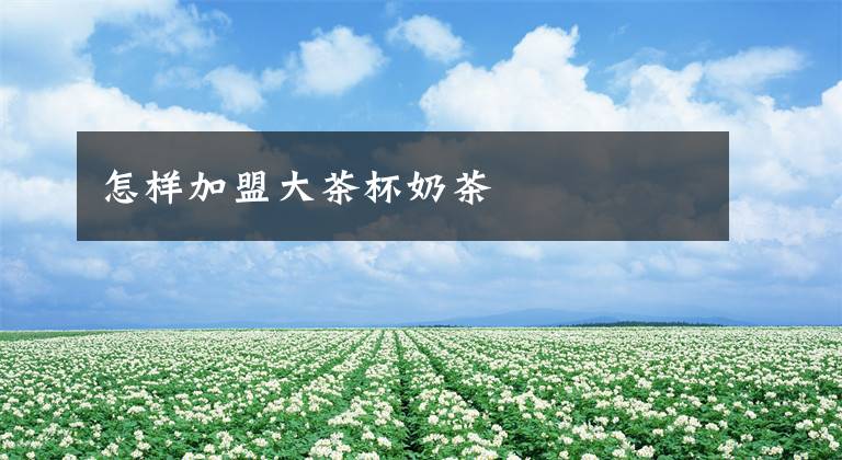 怎样加盟大茶杯奶茶