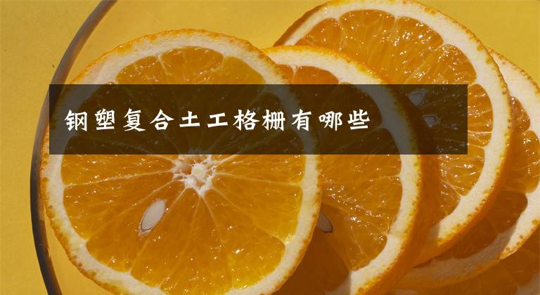 钢塑复合土工格栅有哪些