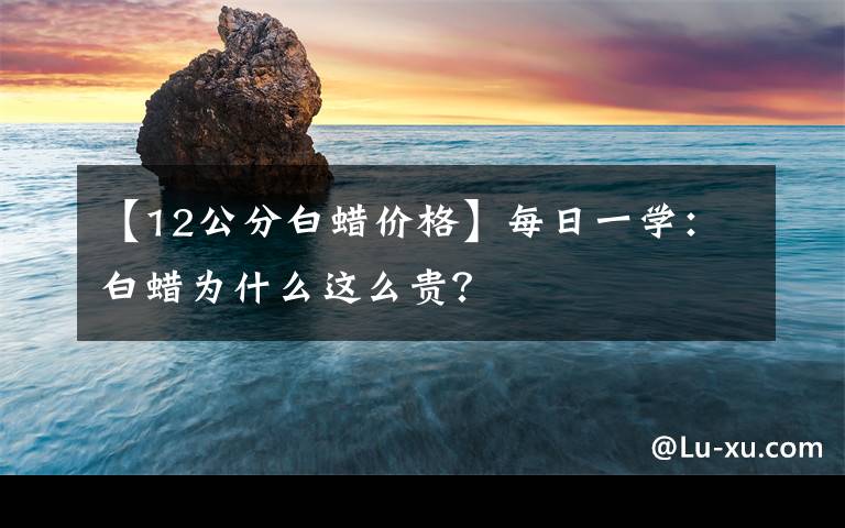 【12公分白蜡价格】每日一学：白蜡为什么这么贵？