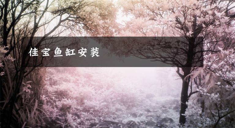 佳宝鱼缸安装