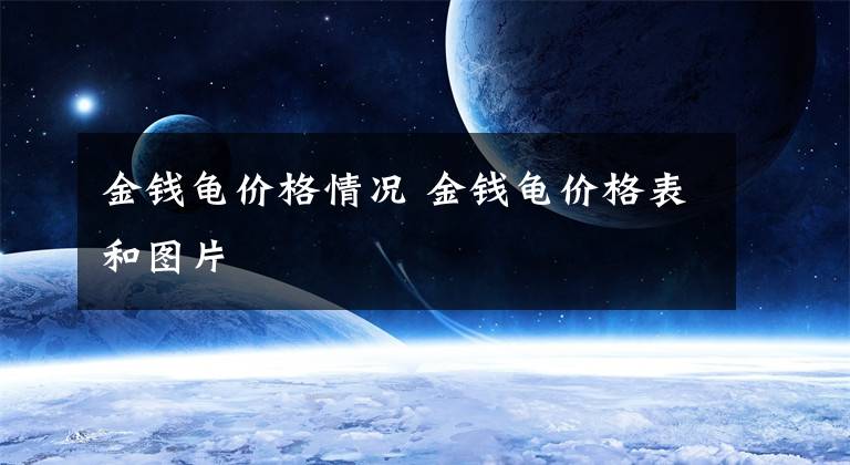 金钱龟价格情况 金钱龟价格表和图片