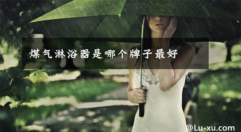 煤气淋浴器是哪个牌子最好