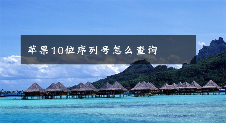 苹果10位序列号怎么查询