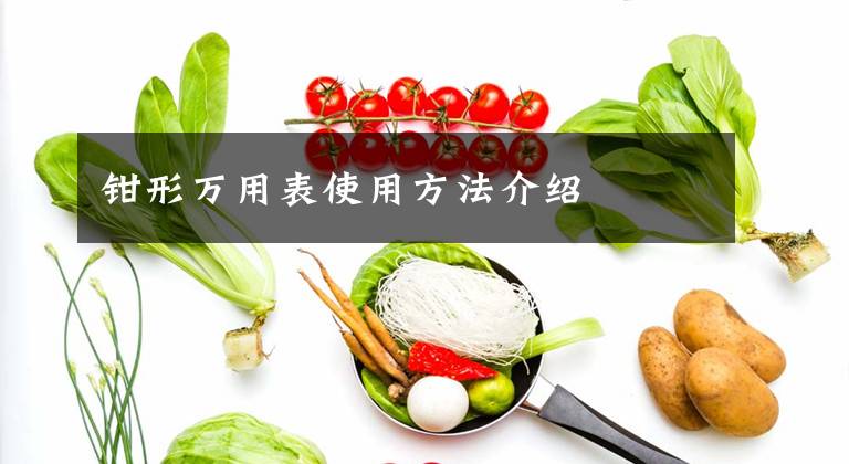 钳形万用表使用方法介绍