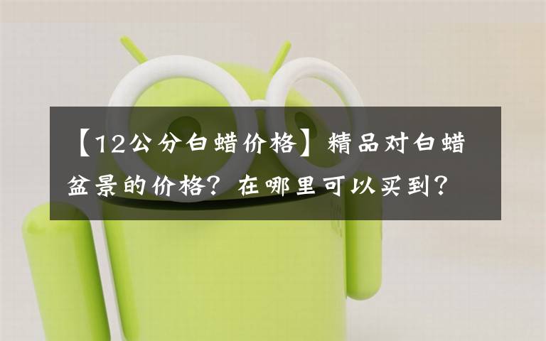 【12公分白蜡价格】精品对白蜡盆景的价格？在哪里可以买到？我如何购买？