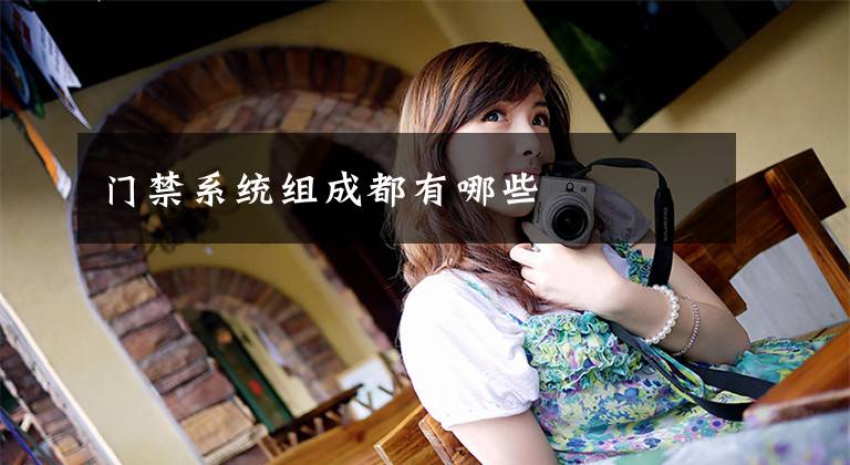 门禁系统组成都有哪些