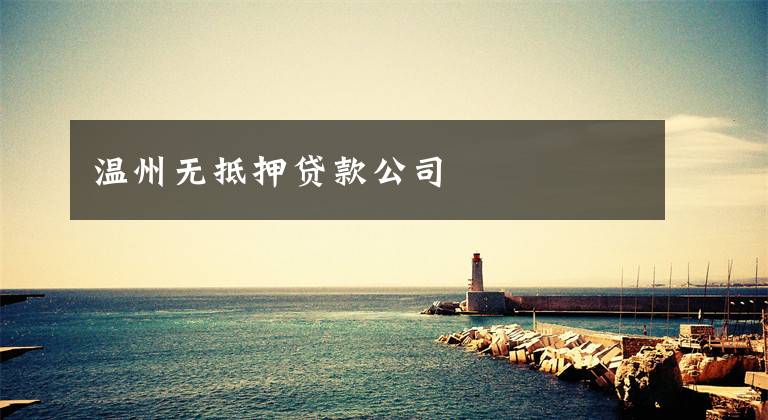 温州无抵押贷款公司