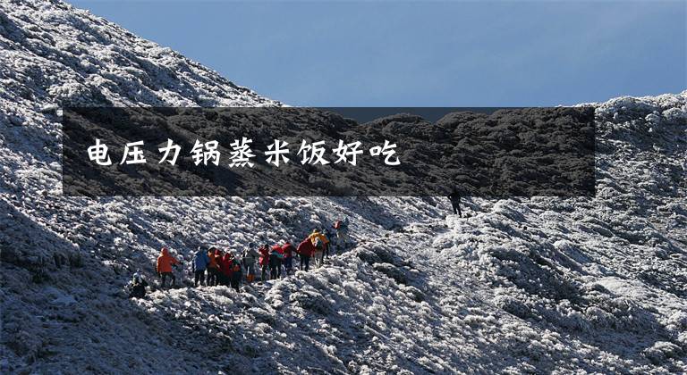 电压力锅蒸米饭好吃