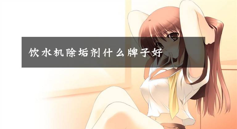 饮水机除垢剂什么牌子好