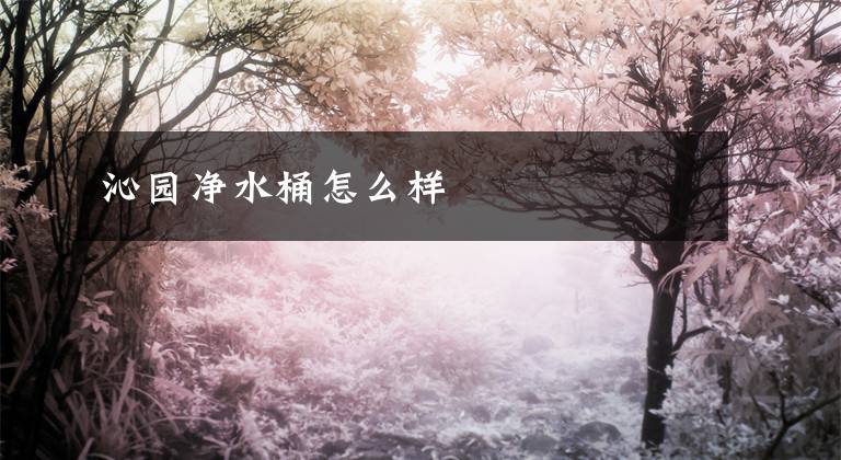 沁园净水桶怎么样