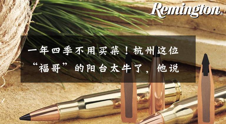 一年四季不用买菜！杭州这位“福哥”的阳台太牛了，他说其实有秘籍