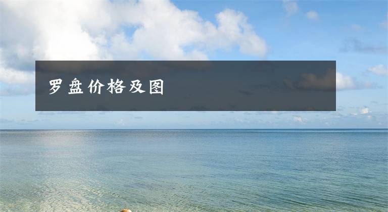 罗盘价格及图