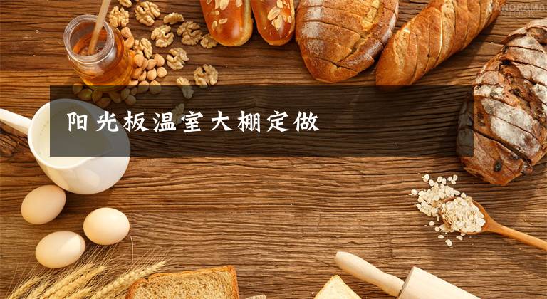 阳光板温室大棚定做