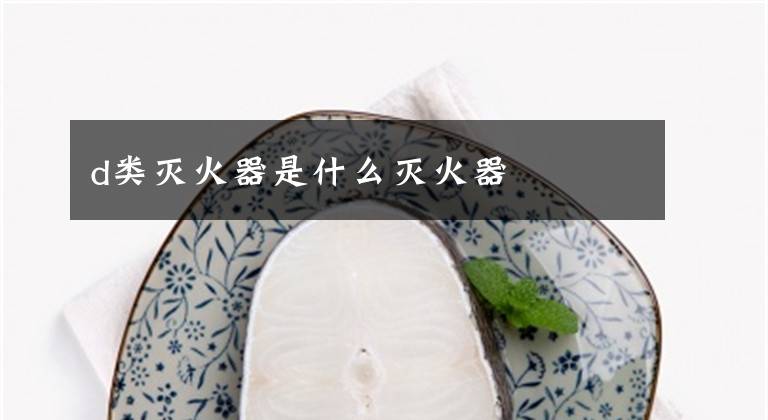 d类灭火器是什么灭火器