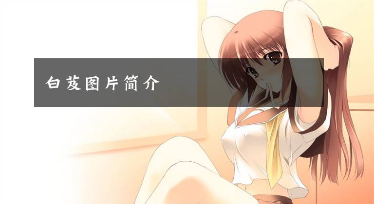白芨图片简介