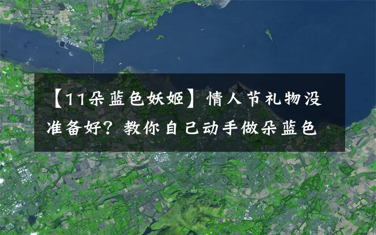 【11朵蓝色妖姬】情人节礼物没准备好？教你自己动手做朵蓝色妖姬，女生见了都喜欢