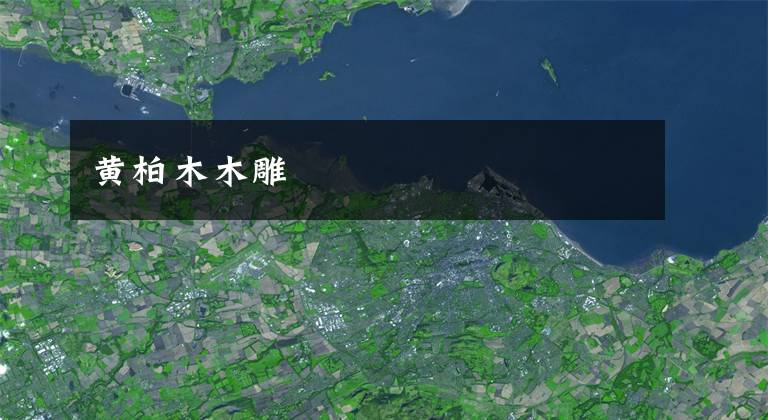 黄柏木木雕