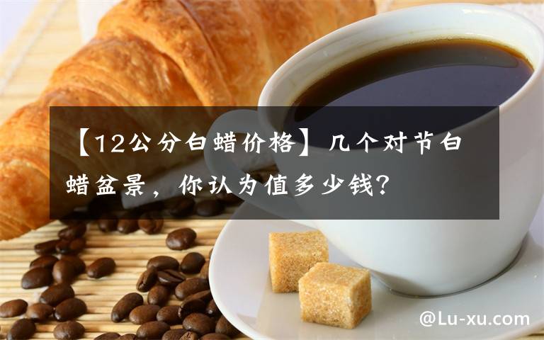 【12公分白蜡价格】几个对节白蜡盆景，你认为值多少钱？