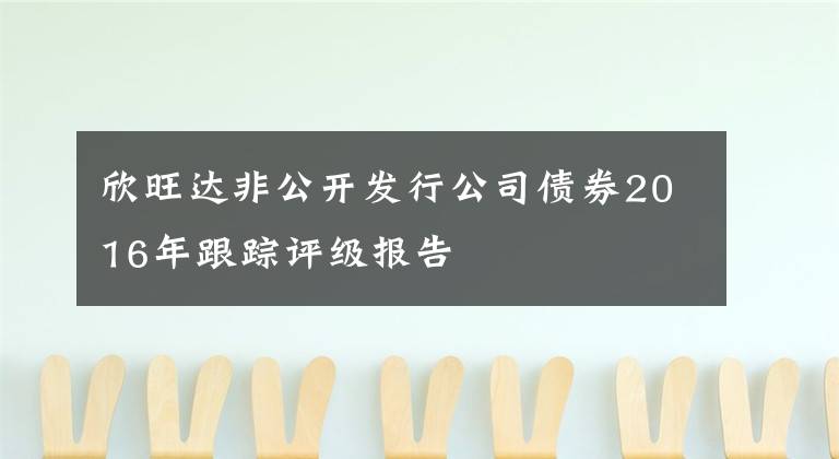 欣旺达非公开发行公司债券2016年跟踪评级报告