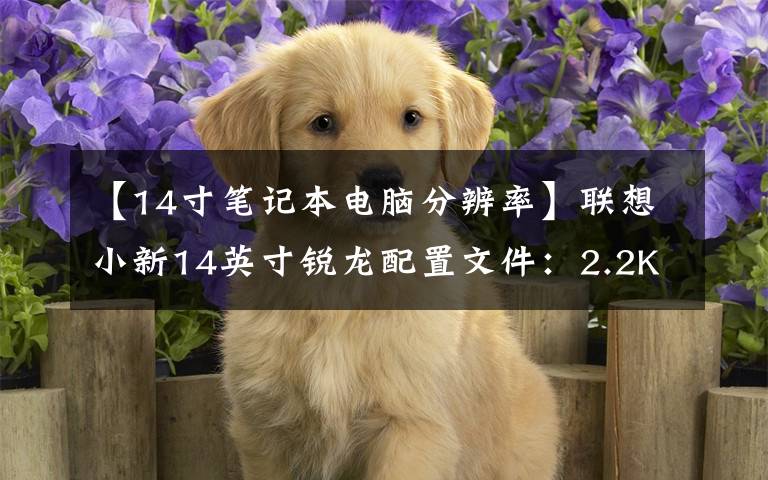 【14寸笔记本电脑分辨率】联想小新14英寸锐龙配置文件：2.2K生产力屏幕