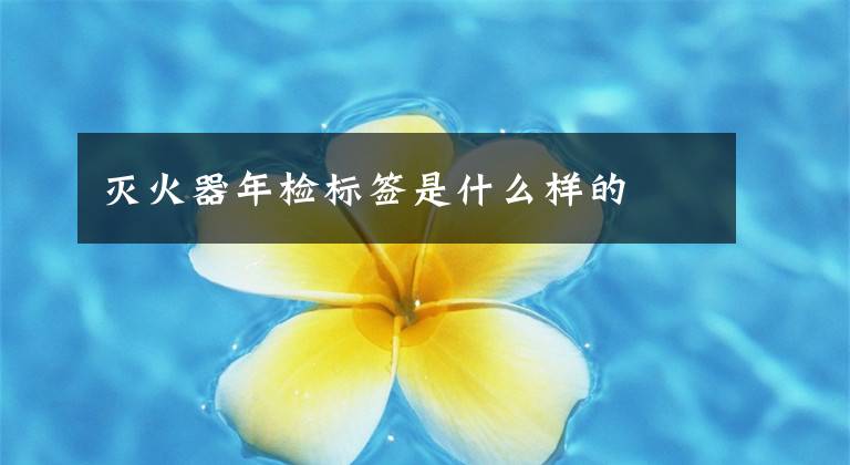 灭火器年检标签是什么样的