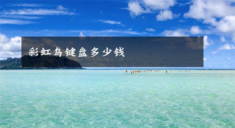 彩虹鸟键盘多少钱