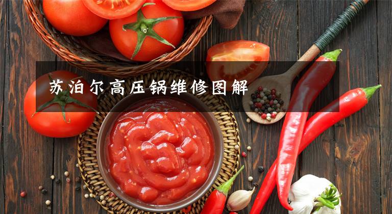 苏泊尔高压锅维修图解