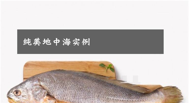 纯美地中海实例
