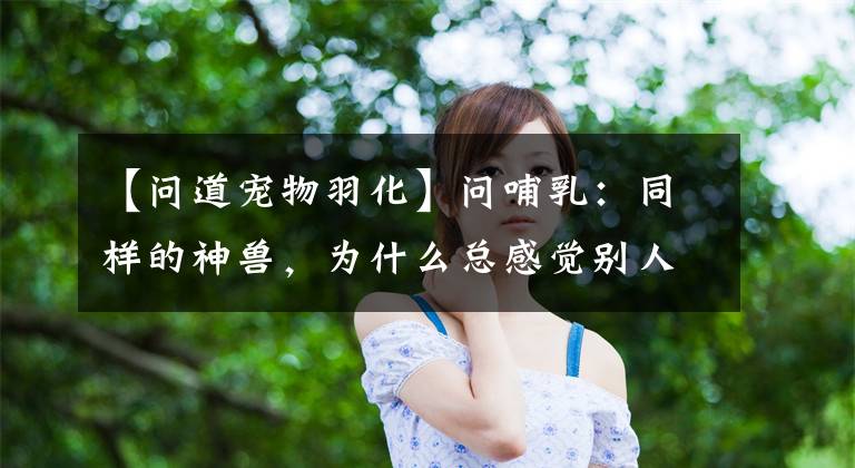 【问道宠物羽化】问哺乳：同样的神兽，为什么总感觉别人的“厉害”？