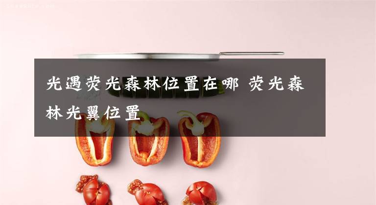 光遇荧光森林位置在哪 荧光森林光翼位置