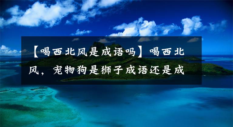 【喝西北风是成语吗】喝西北风，宠物狗是狮子成语还是成语是怎么定义的？广西专家说。