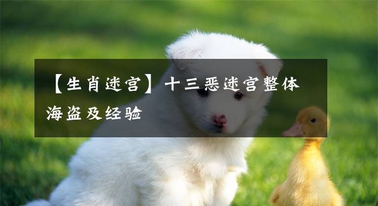 【生肖迷宫】十三恶迷宫整体海盗及经验