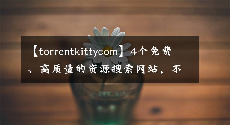 【torrentkittycom】4个免费、高质量的资源搜索网站，不知道损失了多少亿美元！