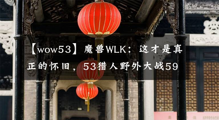 【wow53】魔兽WLK：这才是真正的怀旧，53猎人野外大战59术士，激战数小时