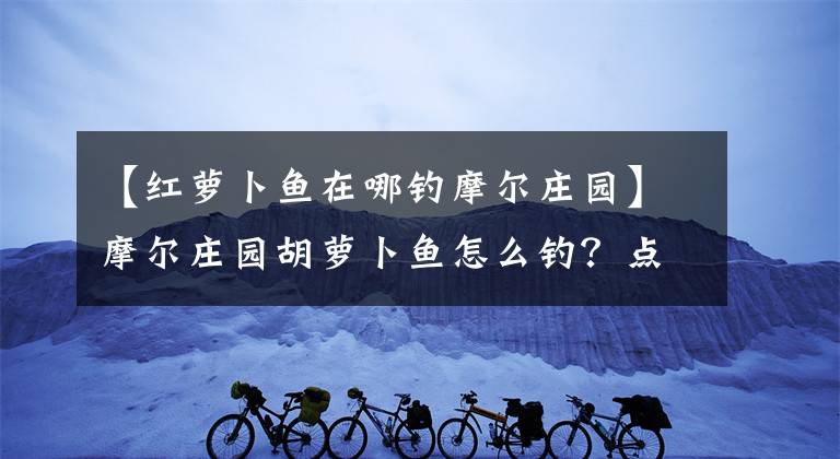 【红萝卜鱼在哪钓摩尔庄园】摩尔庄园胡萝卜鱼怎么钓？点位置钓鱼攻略大全刷新