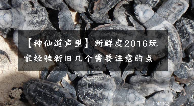 【神仙道声望】新鲜度2016玩家经验新旧几个需要注意的点