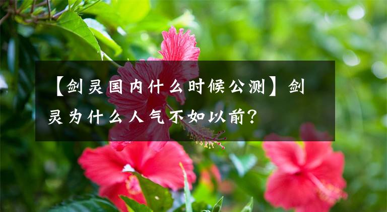 【剑灵国内什么时候公测】剑灵为什么人气不如以前？